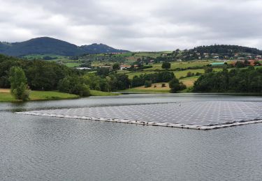 Randonnée Marche Mornant - Mornant-Lac de la Madone à St Sorlin - Photo