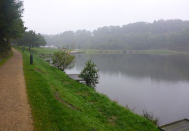 Excursión Senderismo Neufchâteau - RB-Lu-21_Neufchâteau_via-racc-1 - Photo