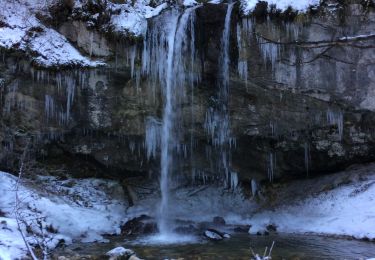 Randonnée Raquettes à neige Villard-de-Lans - Lac des Pres - Photo