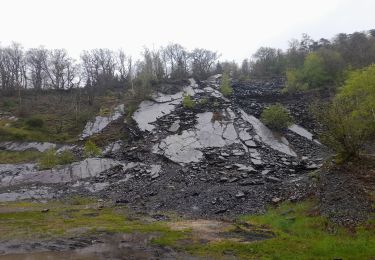 Excursión Senderismo Herbeumont - marche ADEPS à Herbeumont - Photo