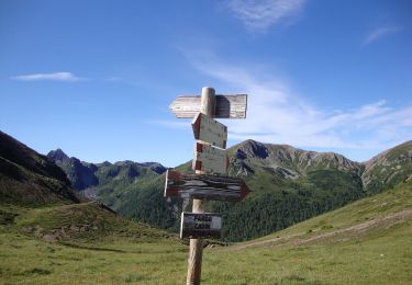 Tour Zu Fuß Castello-Molina di Fiemme - IT-E423 - Photo