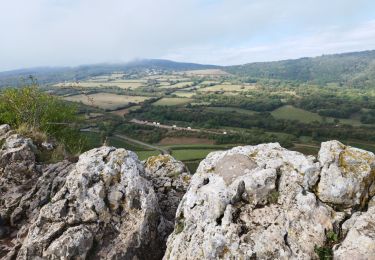 Excursión Senderismo Solutré-Pouilly - La roche de Solutré  - Photo