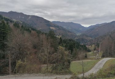 Tocht Te voet Idrija - 135 ~ Pot kurirjev in vezistov NOV Slovenije - Photo