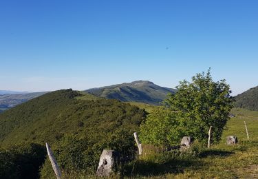 Trail Walking Le Claux - Buron d'Eylac au Puis de Neirmont et retour - Photo