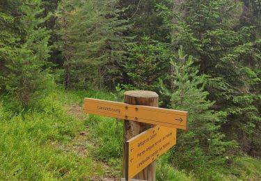 Tour Wandern Val-Cenis - Lanslebourg-sentier des mandes - Photo