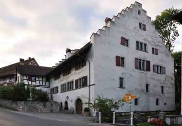 Trail On foot Otelfingen - Otelfingen - Buchs - Photo