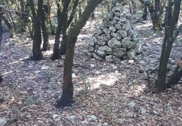 Tocht Stappen Cotignac - Gros Bessillon, Cotignac - Photo