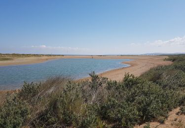 Percorso Marcia Merville-Franceville-Plage - Merville - Photo