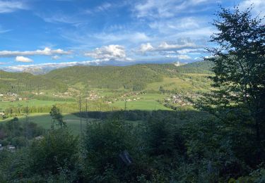 Tour Wandern Habère-Poche - Tête du Char - Photo