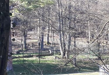 Tour Wandern Rochefort - GR RBN7 Han-sur-Lesse - Photo