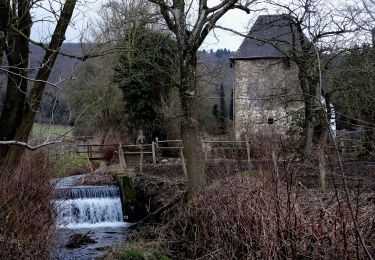 Randonnée A pied Meschede - Enste Rundweg A9 - Photo