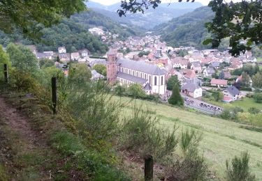 Trail Mountain bike Orbey - Les Balcons d'Orbey (version courte) - Photo
