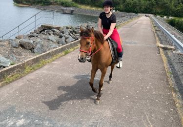 Trail Horseback riding Badonviller - tour du lac Abby Joyeux Tiboy - Photo
