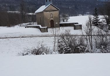 Tour Schneeschuhwandern Belleydoux - Belleydoux-ste Anne - Photo