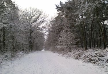 Tocht Te voet Oer-Erkenschwick - Haardgrenzweg Rundweg A6 - Photo