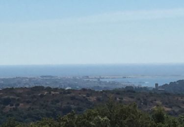 Trail Walking Villeneuve-Loubet - Villeneuve Loubet -Marquisat - Photo