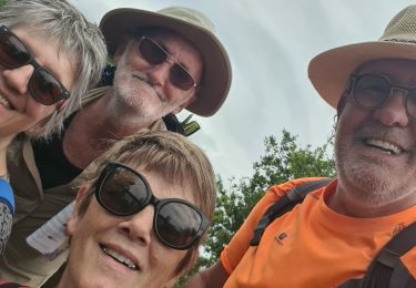 Trail Walking Billiers - rando2 10 juin 2021  - Photo