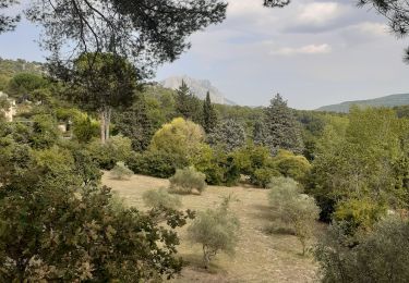 Randonnée Marche Le Tholonet - Zola blimont  - Photo