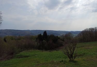 Tour Wandern Sainte-Marie-en-Chanois - 22-04-21 rando des 2 chapelles Amage - Photo