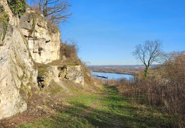 Trail Walking Bassenge - A la découverte d'Eben 🥾 - Photo