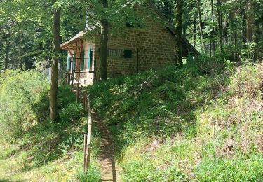 Randonnée Marche Walscheid - Elsassblick,Refuge des Bûcherons, Altmatt,M.F. du Grossmann  - Photo