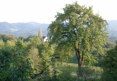 Randonnée A pied Leutschach an der Weinstraße - Kulinarische Weinberg-Wanderung - Photo