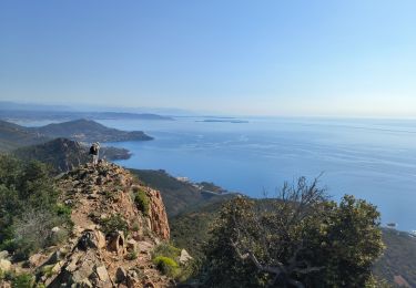 Trail Walking Saint-Raphaël - cap roux - Photo