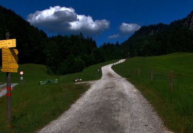 Tocht Te voet Gemeinde Walchsee - Wanderweg 48 - Kaiserwinkl - Photo