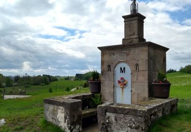 Tocht Stappen Xertigny - Xertigny : circuit n'5 les granges Richard 10-05-19 - Photo