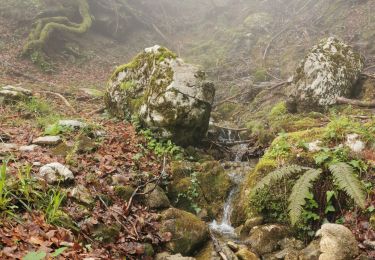 Randonnée Marche Corbel - Corbels, le col des egaux - Photo