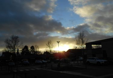 Tour Wandern Franqueville-Saint-Pierre - 20221122-Le Faulx - Photo