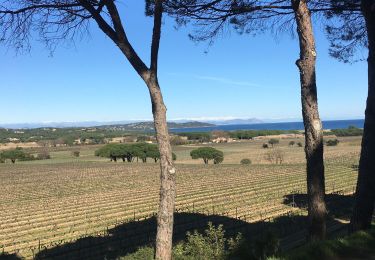 Percorso Marcia Ramatuelle - Parking CC-Cap Camarat - Photo