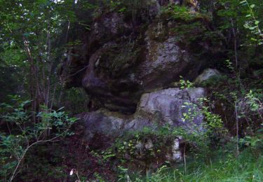 Tour Zu Fuß Veldensteiner Forst - Michelfelder Kapellenweg - Photo