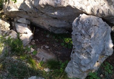 Tocht Stappen Laroque - 34 laroque grotte du pin - Photo