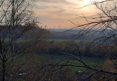 Randonnée Marche La Louvière - A travers les terrils - Saint Vaast - Bois du Luc - Photo