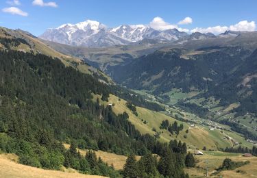 Trail Walking Villard-sur-Doron - 20220823 Les Saisie CGH - Tour de la Legete - Photo