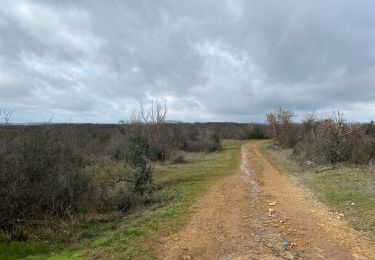 Trail sport Septfonds - Septfonds . Dolmens  - Photo