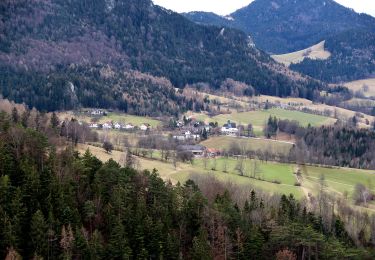 Tocht Te voet Gemeinde Miesenbach - Balbersdorf - Zur Höh - Waldegger Haus - Photo