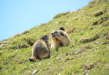 Percorso A piedi Valsavarenche - (SI F01) Rifugio Savoia - Rhêmes-Notre-Dame - Photo