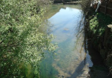 Tocht Te voet Rothenburg ob der Tauber - Rothenburger W5 - Jakobsweg - Photo