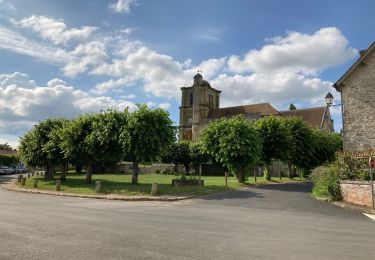 Tocht Stappen Montjavoult - Montjavoult - Photo