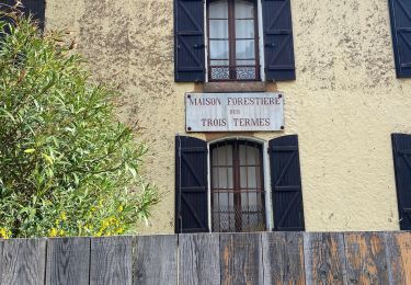 Percorso Marcia Mandelieu-la-Napoule - Col des trois termes Estérel 83 - Photo