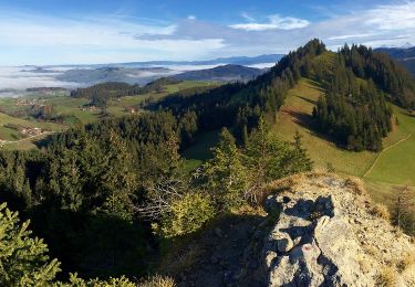 Tocht Te voet Guggisberg - Guggershorn - Laubbach - Photo