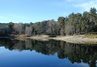 Excursión Senderismo Saint-Rémy-de-Provence - PF-Saint Rémy de Provence - Le Gaudre du Rougadou - Chemin des Lombards - V - Photo