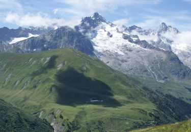 Tocht Te voet Orsières - Sentier des Bergers - Photo