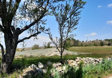 Trail Walking Rochefort-en-Valdaine - Moulin Neuf-Montjoyer-Citelles 15km - Photo