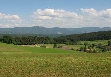 Randonnée A pied Schuttertal - Achatweg - Photo