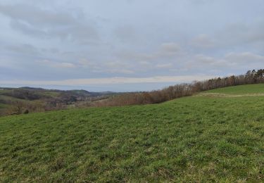 Randonnée Marche Virigneux - Randonnée de Vérigneux - Photo