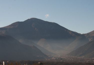 Trail On foot Carpineto Romano - Acqua del Carpino-Monte Gemma - Photo