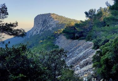 Tocht Stappen Toulon - Uba - St Antoine - Point sublime - Sommet du Faron - Retour Uba - Photo